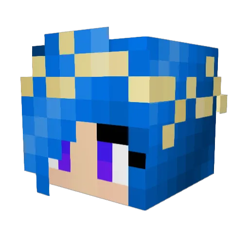 Yummefroglegs Minecraft avatar head, 3D render