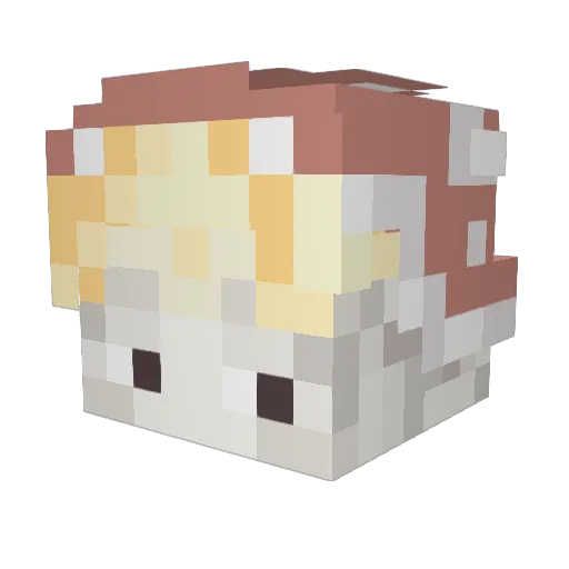 YummiCaik Minecraft avatar head, 3D render