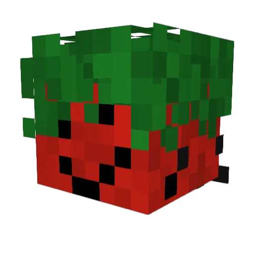 YummyFruityJuice Minecraft avatar head, 3D render