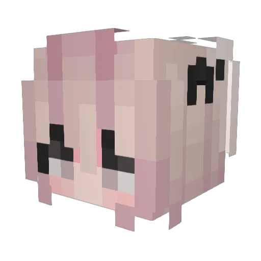 YummyMeowBear Minecraft avatar head, 3D render