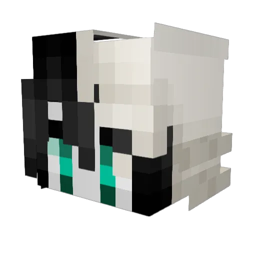 YummyPizza1234 Minecraft avatar head, 3D render