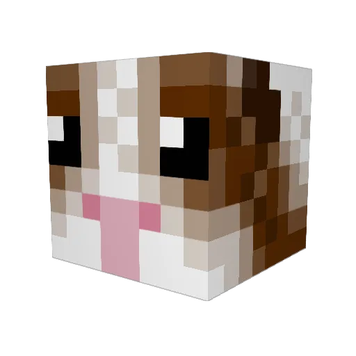 YummyRoastedCuy Minecraft avatar head, 3D render