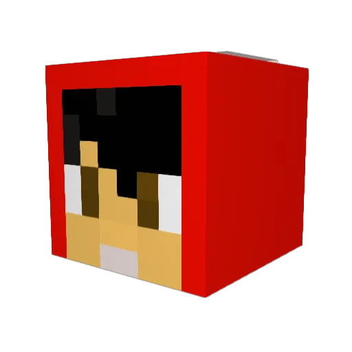 Yummy_June Minecraft avatar head, 3D render