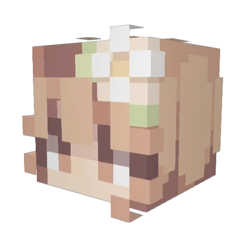 Yummy_Pickle123 Minecraft avatar head, 3D render