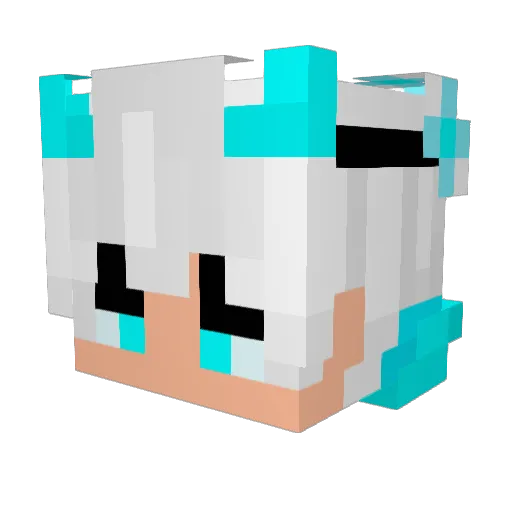 Yun12306 Minecraft avatar head, 3D render