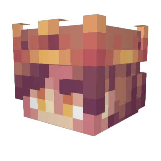 Yun_Fest_Laur Minecraft avatar head, 3D render