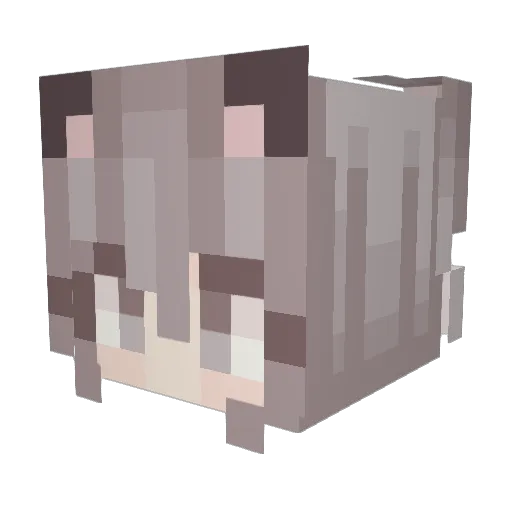Yun_Rine Minecraft avatar head, 3D render