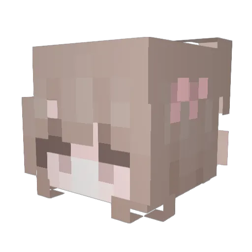 Yun_sm Minecraft avatar head, 3D render