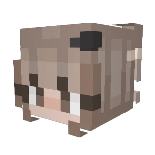 YunaYoru Minecraft avatar head, 3D render