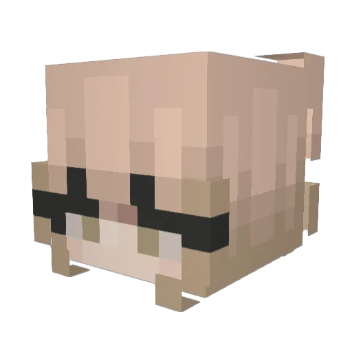 Yunachqqn Minecraft avatar head, 3D render