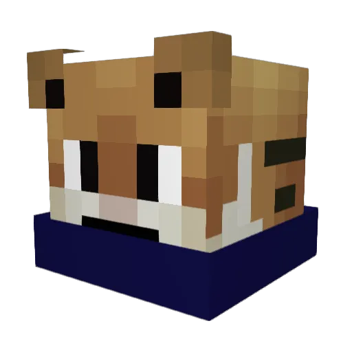 YungBreeeezy Minecraft avatar head, 3D render