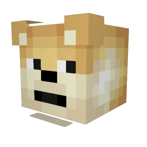 YungDoge_ Minecraft avatar head, 3D render