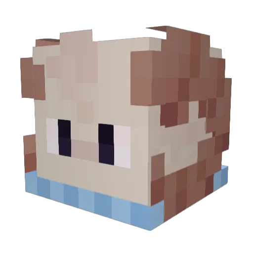 YungEndu_ Minecraft avatar head, 3D render