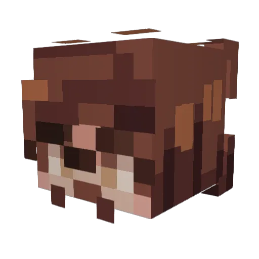 YungFlontsy Minecraft avatar head, 3D render