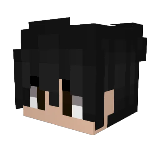 YungProMC Minecraft avatar head, 3D render
