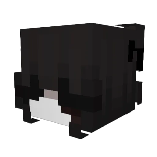 YungSora21 Minecraft avatar head, 3D render