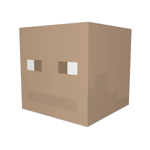 YungZe1413 Minecraft avatar head, 3D render
