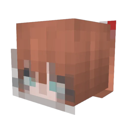 Yungec03 Minecraft avatar head, 3D render