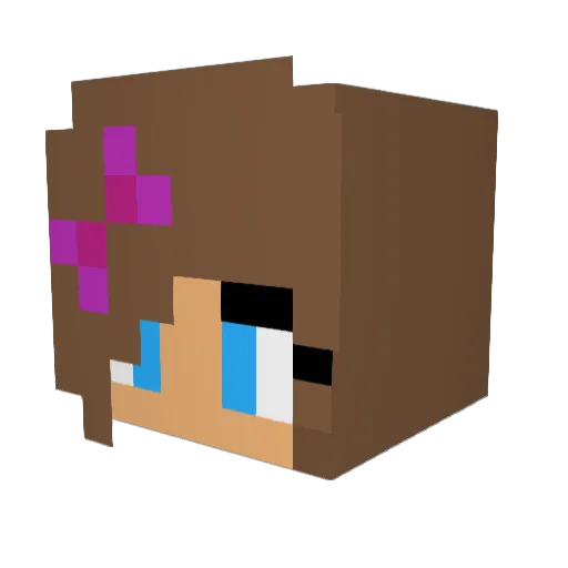 Yunsxd Minecraft avatar head, 3D render