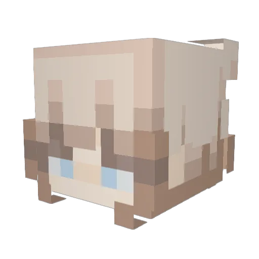 Yuri95 Minecraft avatar head, 3D render