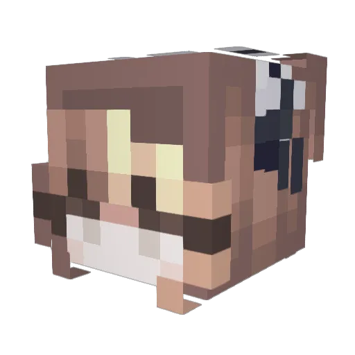 YuriAddict_ Minecraft avatar head, 3D render