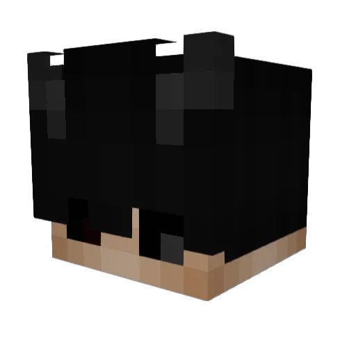 YuriSr Minecraft avatar head, 3D render