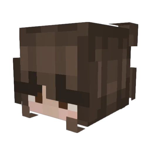 Yusilial Minecraft avatar head, 3D render