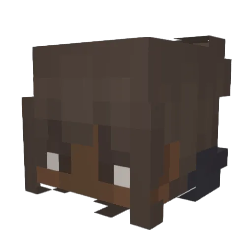 YusraRed Minecraft avatar head, 3D render