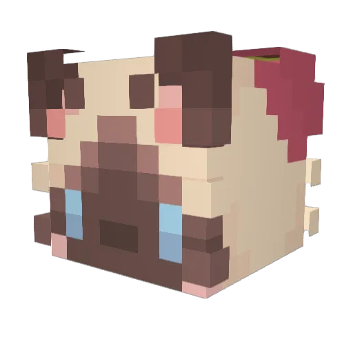 Yutouovo Minecraft avatar head, 3D render
