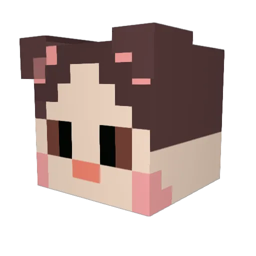 YuusyaARI Minecraft avatar head, 3D render