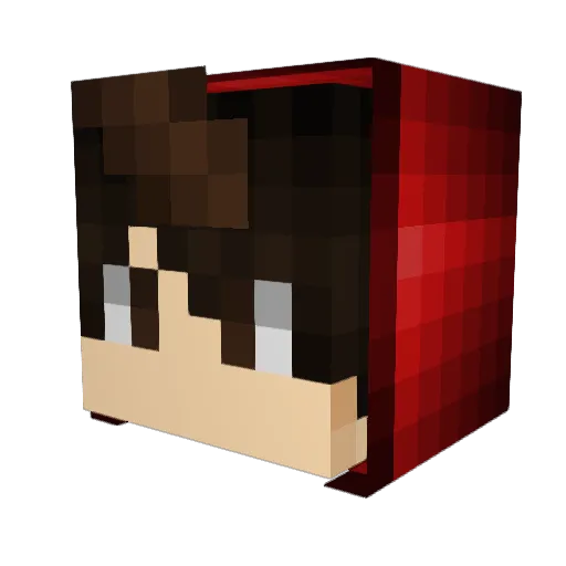 Yuutocan Minecraft avatar head, 3D render