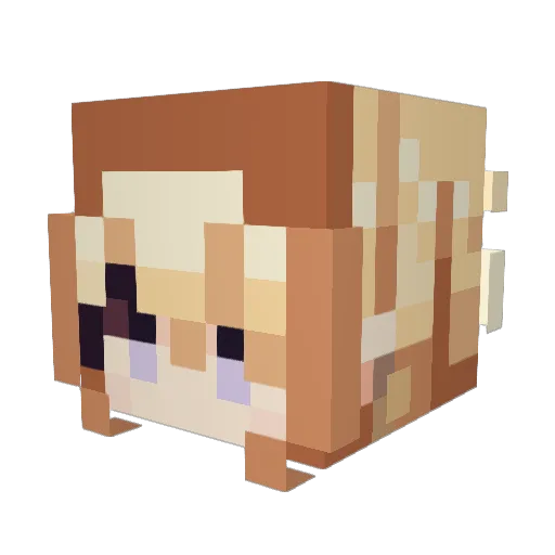 Yuuttaa0120 Minecraft avatar head, 3D render