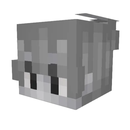 Yuzuapyo Minecraft avatar head, 3D render