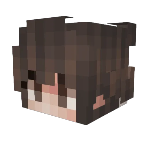 Yvenox_ Minecraft avatar head, 3D render