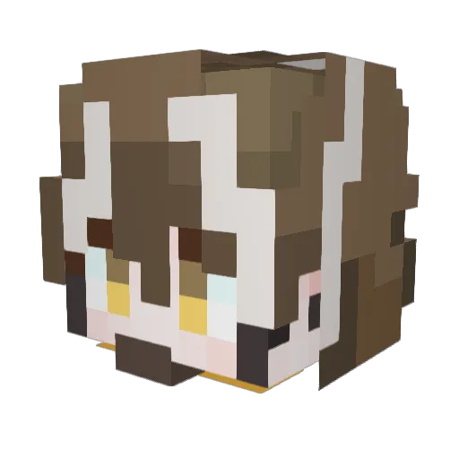 Ywn_Calby Minecraft avatar head, 3D render