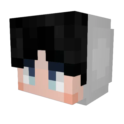 YybCn1 Minecraft avatar head, 3D render