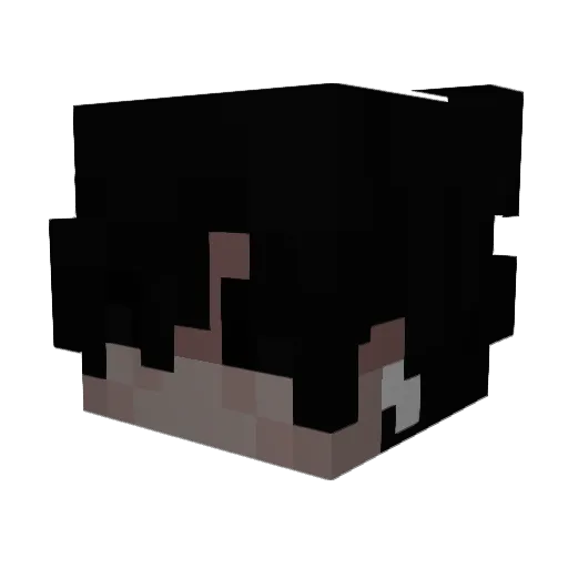Yzy5k Minecraft avatar head, 3D render