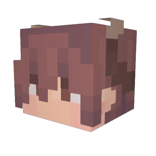 Z0II Minecraft avatar head, 3D render