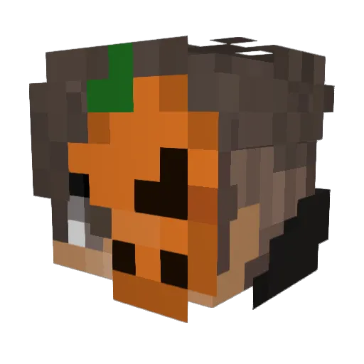 Z0Kya_ Minecraft avatar head, 3D render