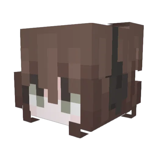 Z0LO Minecraft avatar head, 3D render
