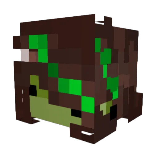 Z0mbi3B0yyy Minecraft avatar head, 3D render