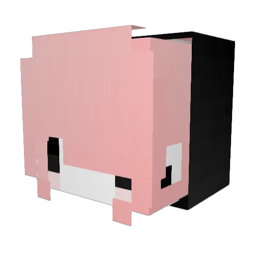 Z0mbie_Chicken Minecraft avatar head, 3D render