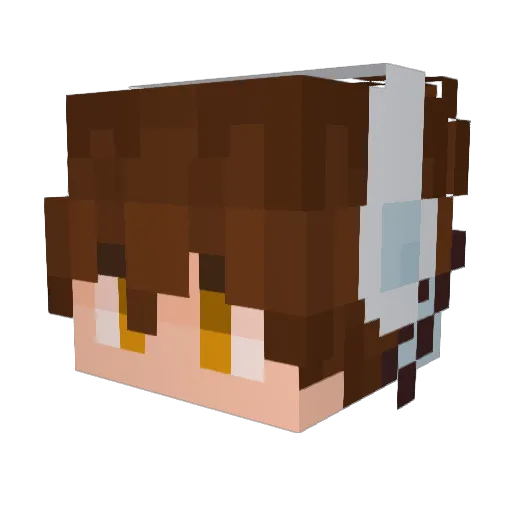 Z0mn0m1127 Minecraft avatar head, 3D render