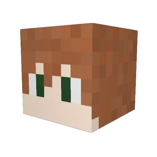 Z0omp Minecraft avatar head, 3D render