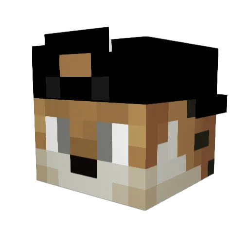 Z150S Minecraft avatar head, 3D render
