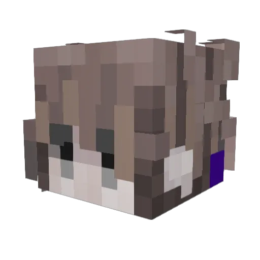 Z3NOWL Minecraft avatar head, 3D render