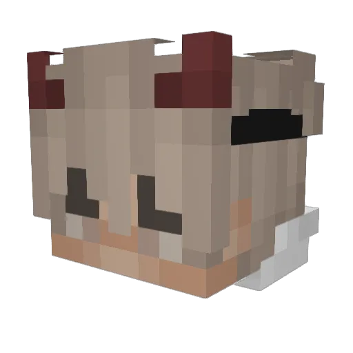 Z3R096_ Minecraft avatar head, 3D render