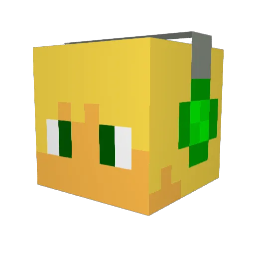 Z3R0QUAL1TY Minecraft avatar head, 3D render