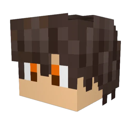 Z3X_ Minecraft avatar head, 3D render