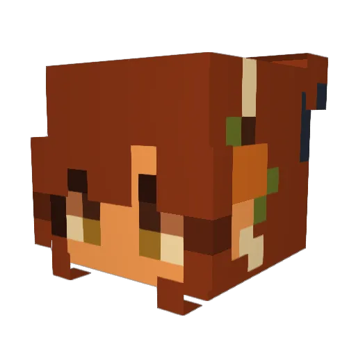 Z3ldas_Stars Minecraft avatar head, 3D render
